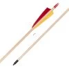 Buck Trail Standard Spruce Arrows -Archery Discount Store 842090 2