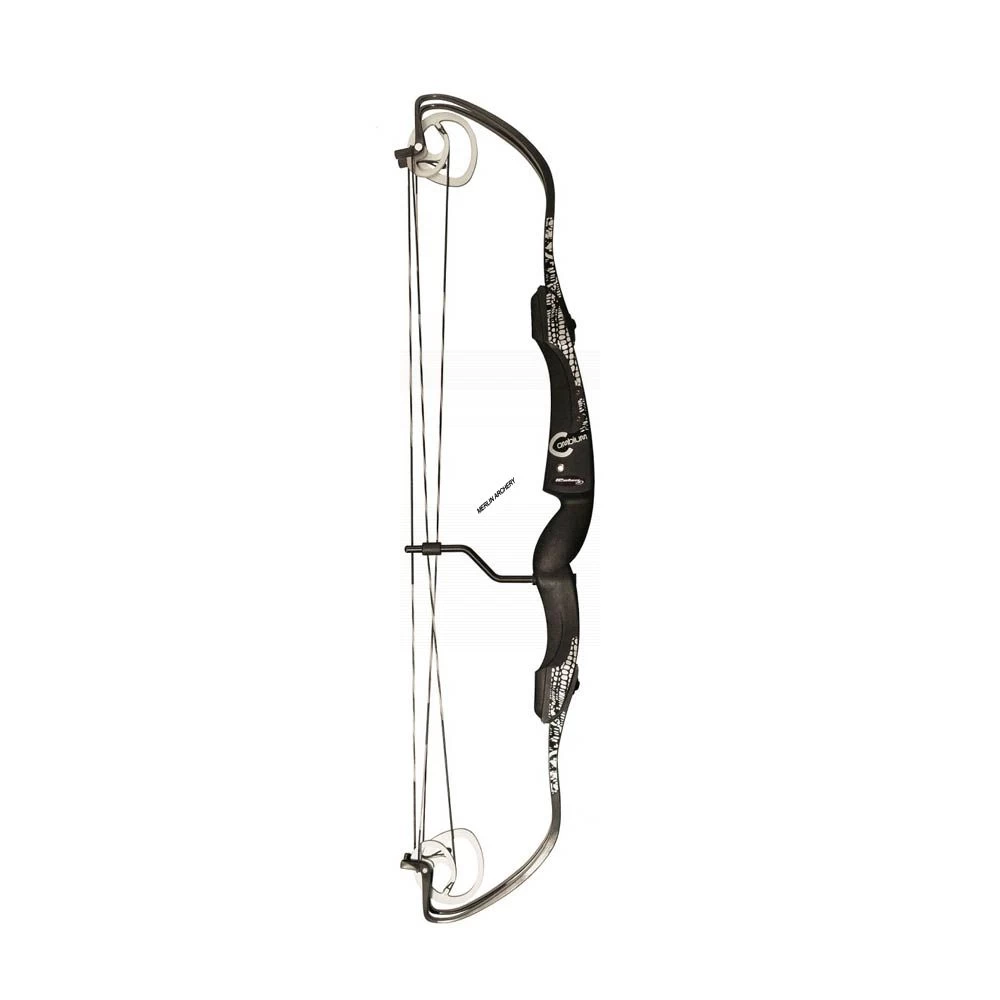 Rolan Cambium Compound Bow 3 Rolan Cambium Compound Bow