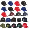 Brady Ellison Caps -Archery Discount Store be hats group 1