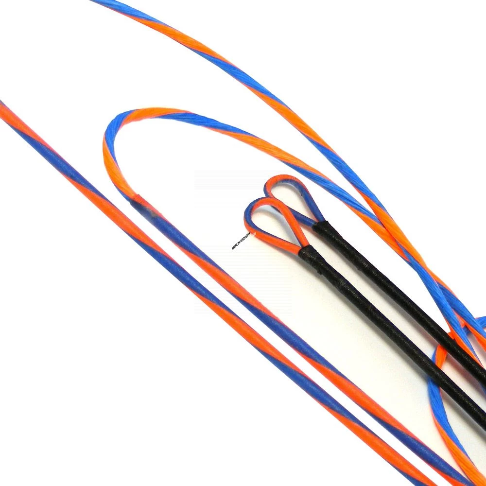 Reign Hoyt Hyper ZT Cam - 4 Piece Set 3 Reign Hoyt Hyper ZT Cam - 4 Piece Set